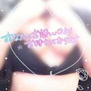 ヒメ日記 2026/03/11 09:27 投稿 今田 変態美熟女お貸しします。