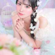 ヒメ日記 2026/02/28 20:13 投稿 いおり ジャパンクラブ富士