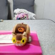 ヒメ日記 2026/08/12 10:04 投稿 りん 妻天 尼崎店