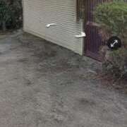 ヒメ日記 2026/08/12 18:54 投稿 りん 妻天 尼崎店