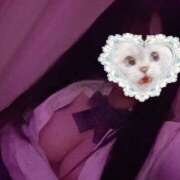 ヒメ日記 2026/02/20 12:02 投稿 ひまり あふたーすくーる