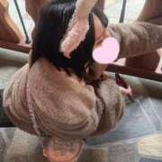 ヒメ日記 2026/02/20 01:46 投稿 ルア エピソード(品川)