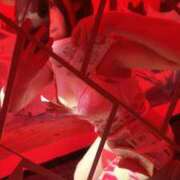 ヒメ日記 2026/02/28 21:59 投稿 ちづる VIVID CREW Pink Party Paradise