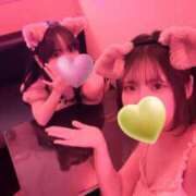 ちづる 出勤🙌 VIVID CREW Pink Party Paradise