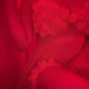 ヒメ日記 2026/07/13 19:00 投稿 ちづる VIVID CREW Pink Party Paradise