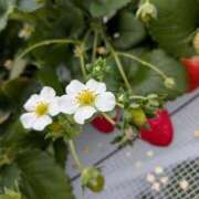 ヒメ日記 2026/03/09 20:20 投稿 月宮まこ 五十路マダムエクスプレス船橋店(カサブランカグループ)