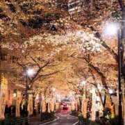 ヒメ日記 2026/04/06 20:24 投稿 月宮まこ 五十路マダムエクスプレス船橋店(カサブランカグループ)