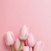 ヒメ日記 2026/04/08 10:14 投稿 月宮まこ 五十路マダムエクスプレス船橋店(カサブランカグループ)