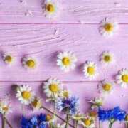 ヒメ日記 2026/04/22 22:10 投稿 月宮まこ 五十路マダムエクスプレス船橋店(カサブランカグループ)