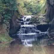 ヒメ日記 2026/10/11 16:48 投稿 月宮まこ 五十路マダムエクスプレス船橋店(カサブランカグループ)
