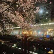 ヒメ日記 2026/04/05 23:07 投稿 のぞみ 華椿（YESグループヨコハマ）