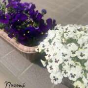 ヒメ日記 2026/04/12 15:41 投稿 のぞみ 華椿（YESグループヨコハマ）