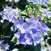 ヒメ日記 2026/05/13 21:34 投稿 のぞみ 華椿（YESグループヨコハマ）