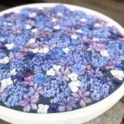 ヒメ日記 2026/06/14 22:50 投稿 のぞみ 華椿（YESグループヨコハマ）