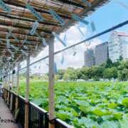 ヒメ日記 2026/07/28 08:55 投稿 のぞみ 華椿（YESグループヨコハマ）
