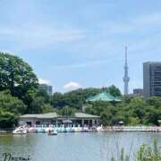 ヒメ日記 2026/07/29 09:28 投稿 のぞみ 華椿（YESグループヨコハマ）