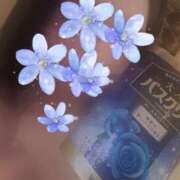 夢（ゆめ） 大人の…♡ 男爵