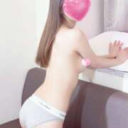 ミミ おやすみなさい 姫路ラビット