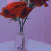 ヒメ日記 2026/02/04 00:10 投稿 るき『Gカップ』 ぽよぽよランド