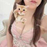 ヒメ日記 2026/02/13 16:10 投稿 海老沢めれ ゴールドクイーン