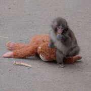 ヒメ日記 2026/03/05 11:20 投稿 海老沢めれ ゴールドクイーン(雄琴)