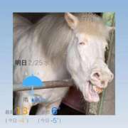 ヒメ日記 2026/02/24 20:37 投稿 みい ごほうびSPA 新宿店