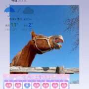 ヒメ日記 2026/03/03 01:37 投稿 みい ごほうびSPA 新宿店