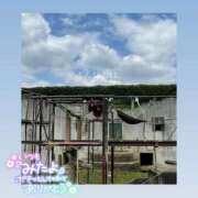 ヒメ日記 2026/03/09 12:18 投稿 みい ごほうびSPA 新宿店