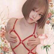 ヒメ日記 2026/03/12 06:37 投稿 みい ごほうびSPA 新宿店