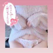 ヒメ日記 2026/03/14 20:27 投稿 みい ごほうびSPA 新宿店