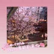 ヒメ日記 2026/04/02 12:17 投稿 みい ごほうびSPA 新宿店