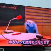 ヒメ日記 2026/06/15 12:57 投稿 みい ごほうびSPA 新宿店