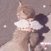 ヒメ日記 2026/04/10 09:56 投稿 成海りりか Claris Tokyo～クラリス東京～