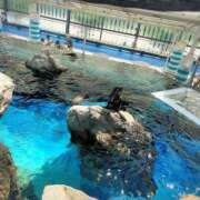 ヒメ日記 2026/03/13 15:01 投稿 莉奈-rina- 品川エッセンス