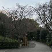 ヒメ日記 2026/04/06 07:31 投稿 莉奈-rina- 品川エッセンス