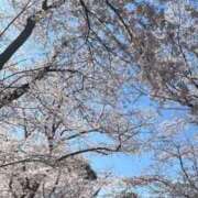 ヒメ日記 2026/04/03 18:49 投稿 あゆむ 白いぽっちゃりさん五反田店