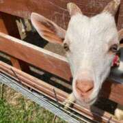 ヒメ日記 2026/02/25 12:14 投稿 れな☆遅咲き奥様 ジャックと豆の木