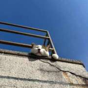 ヒメ日記 2026/04/30 23:48 投稿 かりん 大阪ぽっちゃりマニア 十三店