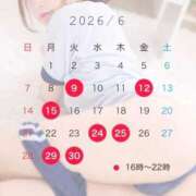ヒメ日記 2026/06/08 16:21 投稿 ねね プレミアム(福原)