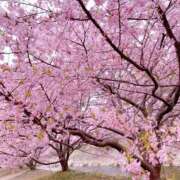 ヒメ日記 2026/02/13 14:30 投稿 空音 Respect