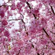 空音 2/19ありがとうございました💓‪ Respect