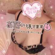 ヒメ日記 2026/03/21 17:31 投稿 こゆき 蒲田ちゃんこ