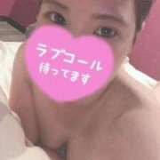 ヒメ日記 2026/04/13 18:49 投稿 こゆき 蒲田ちゃんこ