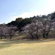 ヒメ日記 2026/03/31 06:52 投稿 えみ 横浜人妻セレブリティ（ユメオト）