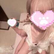 ヒメ日記 2026/09/15 11:31 投稿 マイ ソープランドMAX‐マックス-