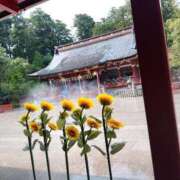 ヒメ日記 2026/07/23 18:49 投稿 藍姫（あいひめ） MAXIM（マキシム）
