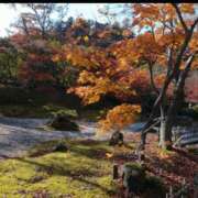 ヒメ日記 2026/09/01 09:09 投稿 藍姫（あいひめ） MAXIM（マキシム）