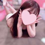 ヒメ日記 2026/02/12 08:01 投稿 しき プレミアム(福原)