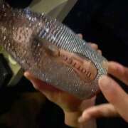 ヒメ日記 2026/02/22 03:30 投稿 えみ エマニエル秋葉原