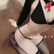 ヒメ日記 2026/04/20 16:45 投稿 あま 恋するバニー